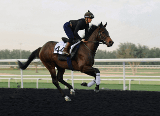 G1 placed Starlust heads strong international team in Dubai Trop